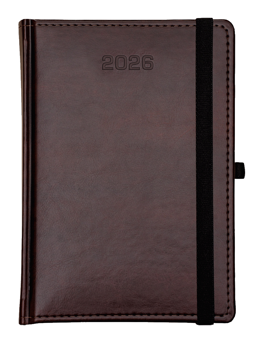 Nebraska_Exclusive_z gumka_ciemny brąz_D556